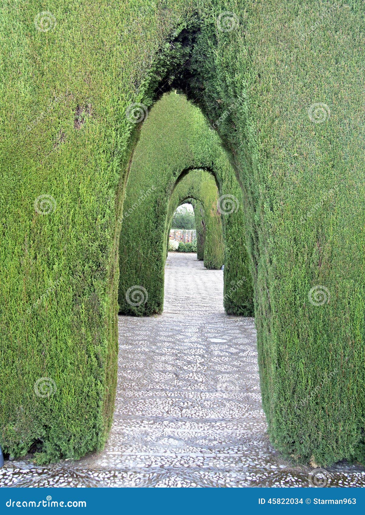 Alhambra Granada Decorative Ornamental Garden with Bush Arches Stock ...