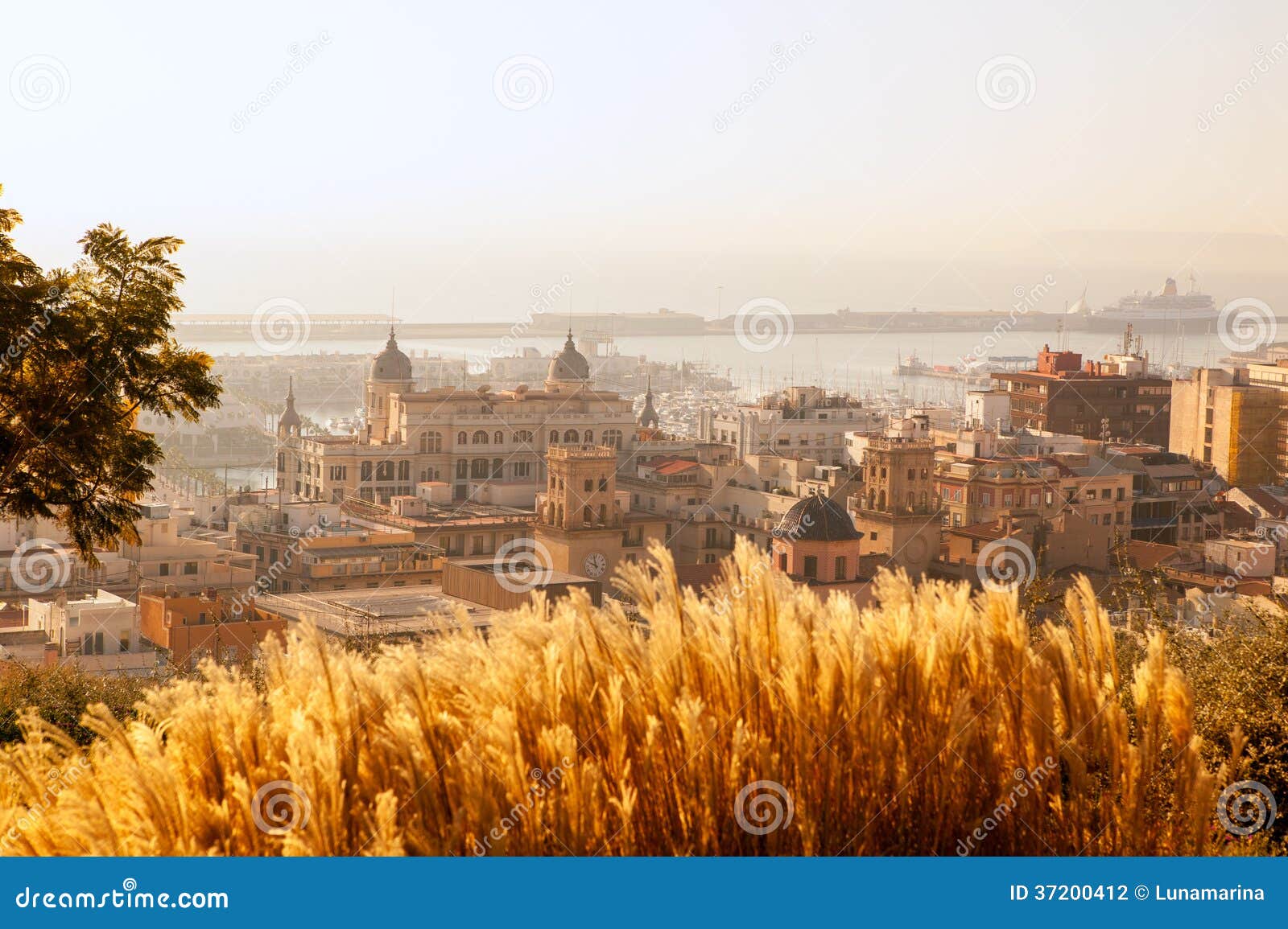 alicante cityscape skyline in mediterranean sea
