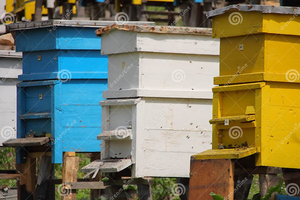 Aligned bee hive stock image. Image of insects, hive, animals 6513179