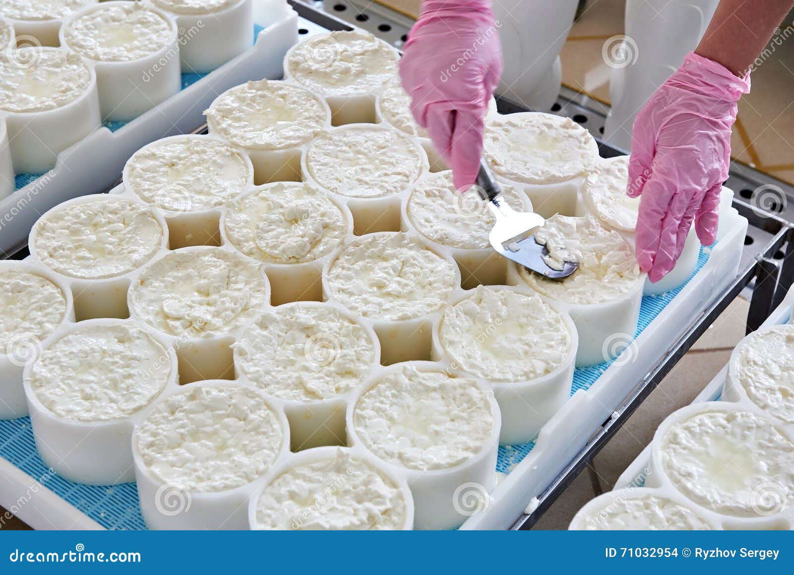 Alignment of Cheese Material in Molds for Production Camembert Stock