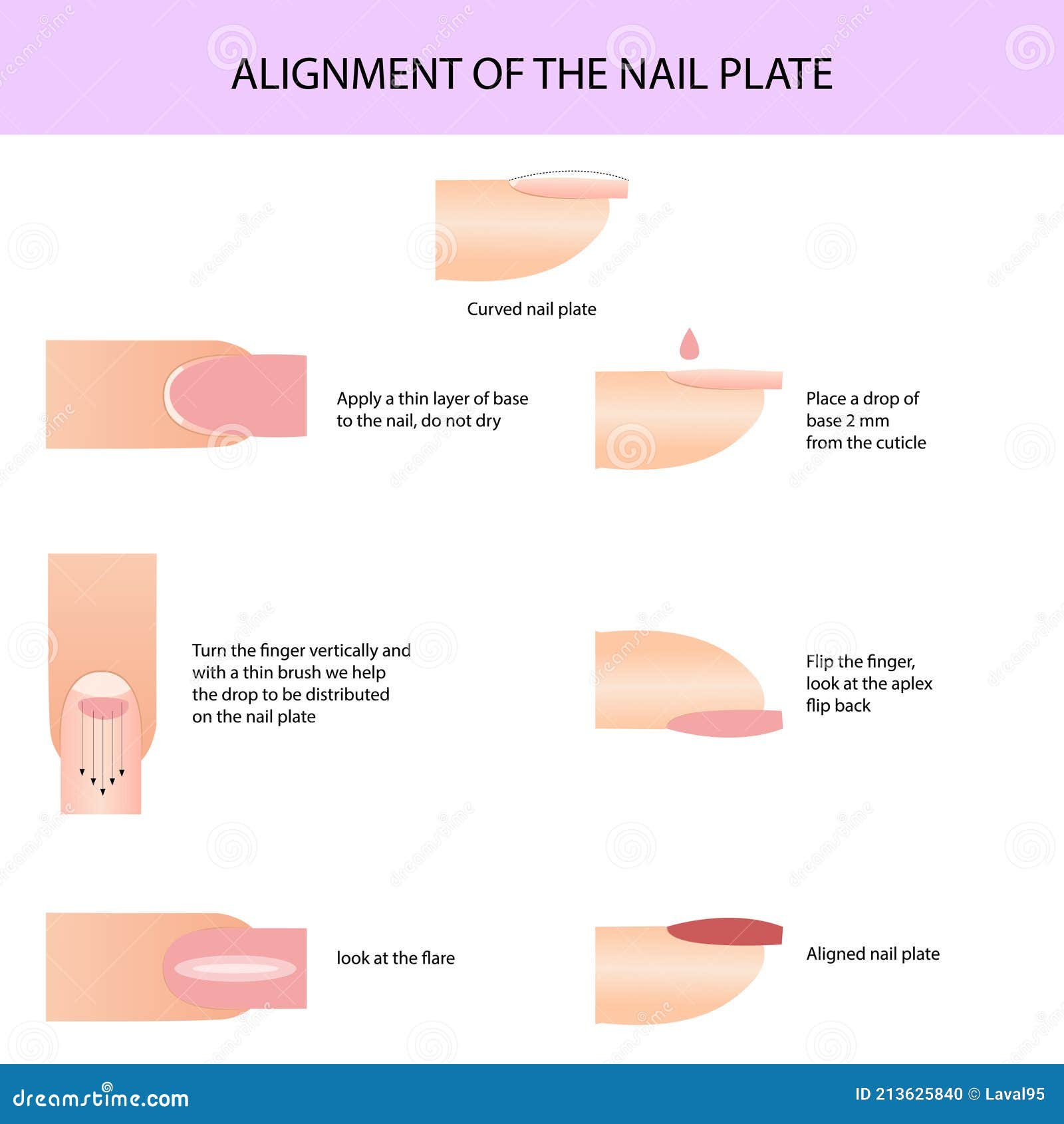 alignment of the nail plate. professional manicure guide,  , infographics