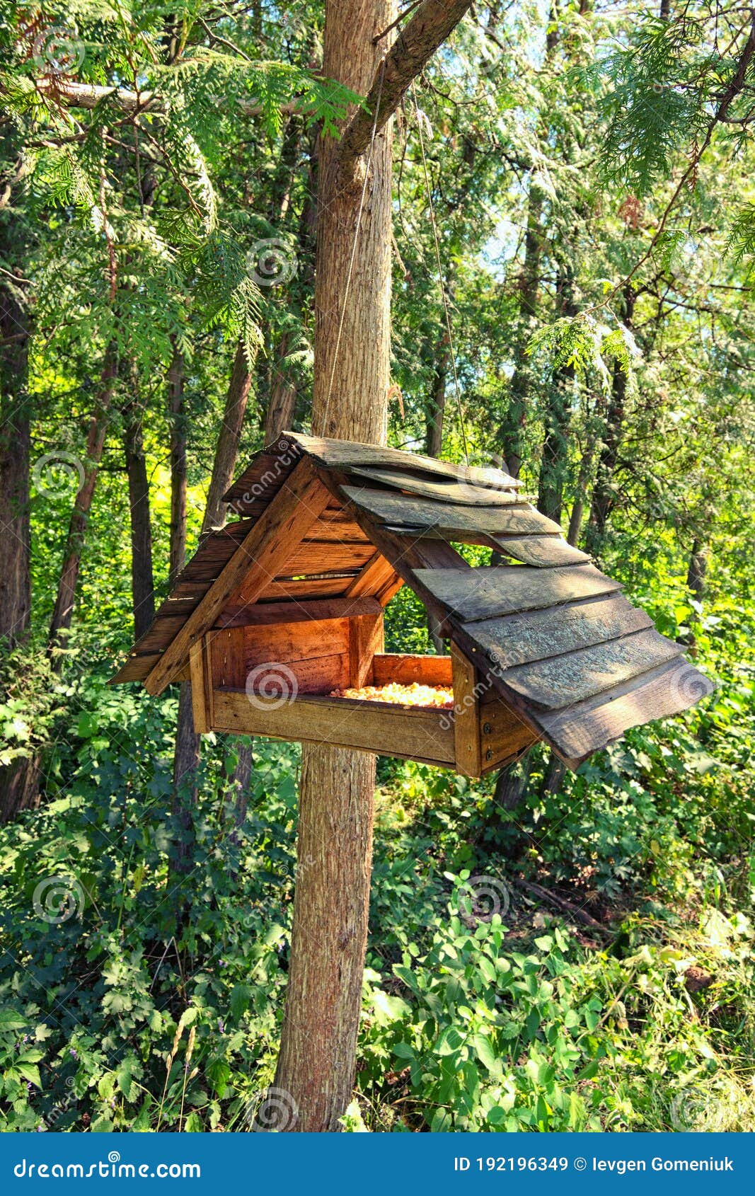 Casita para pájaros de madera casita para pájaros en un árbol