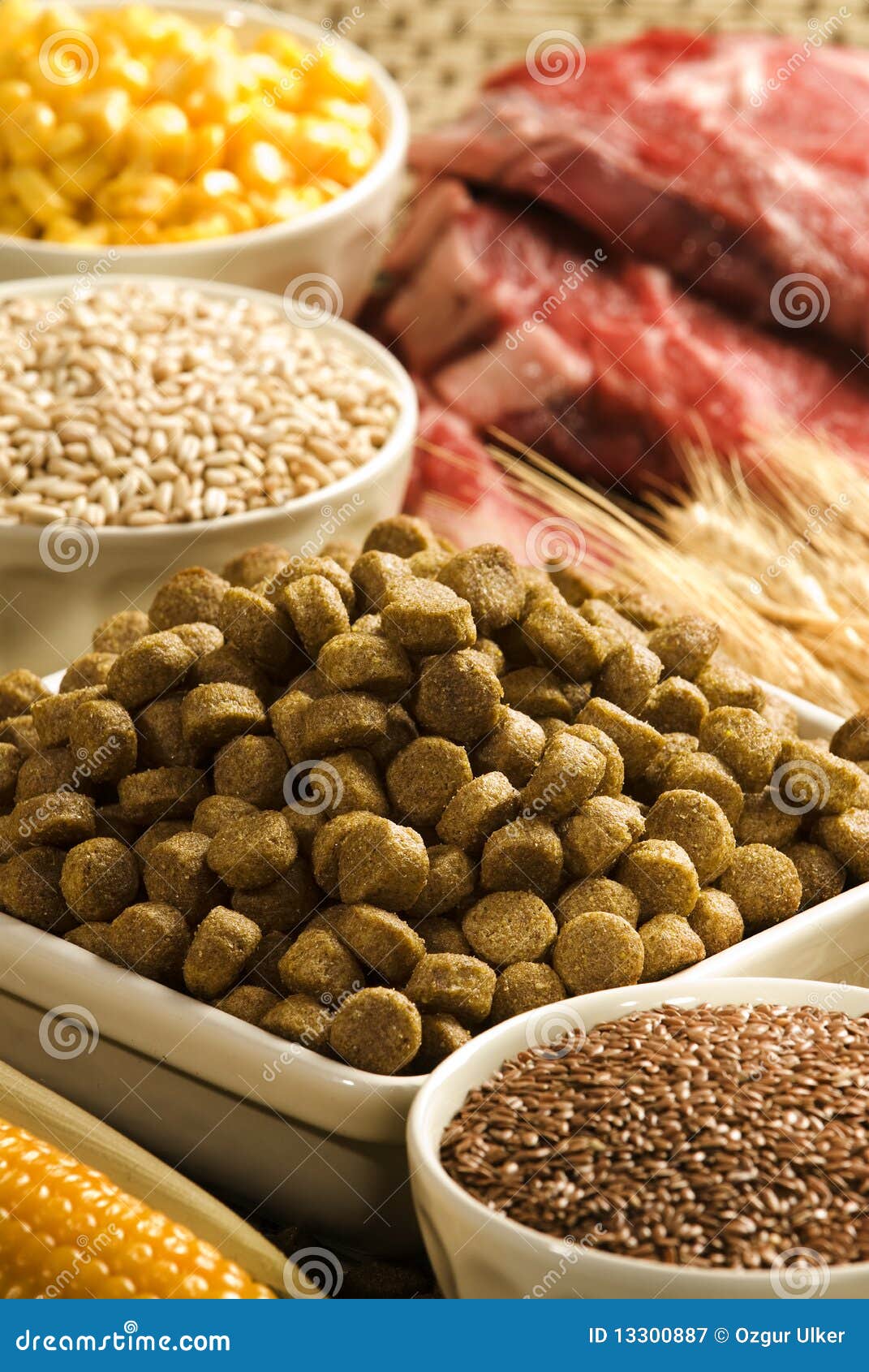 Alimento de perro imagen de archivo. Imagen de minerales 13300887