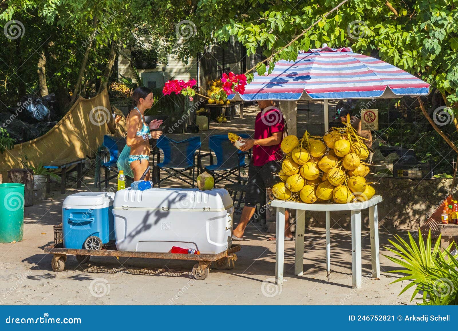 Fruto Tropical Fresco Em Espetos Na Placa Branca - Café Da Manhã Saudável,  Conceito Da Perda De Peso Tailândia Foto de Stock - Imagem de uvas,  abacaxi: 115645152