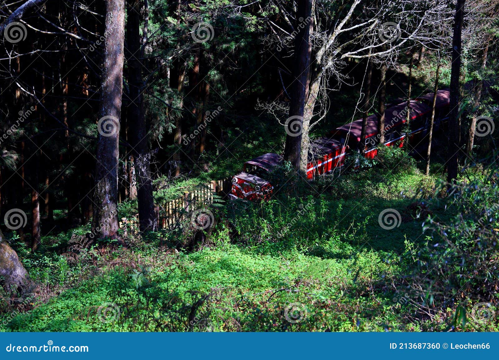 alishan national forest recreation area, situated in alishan township, chiayi ,