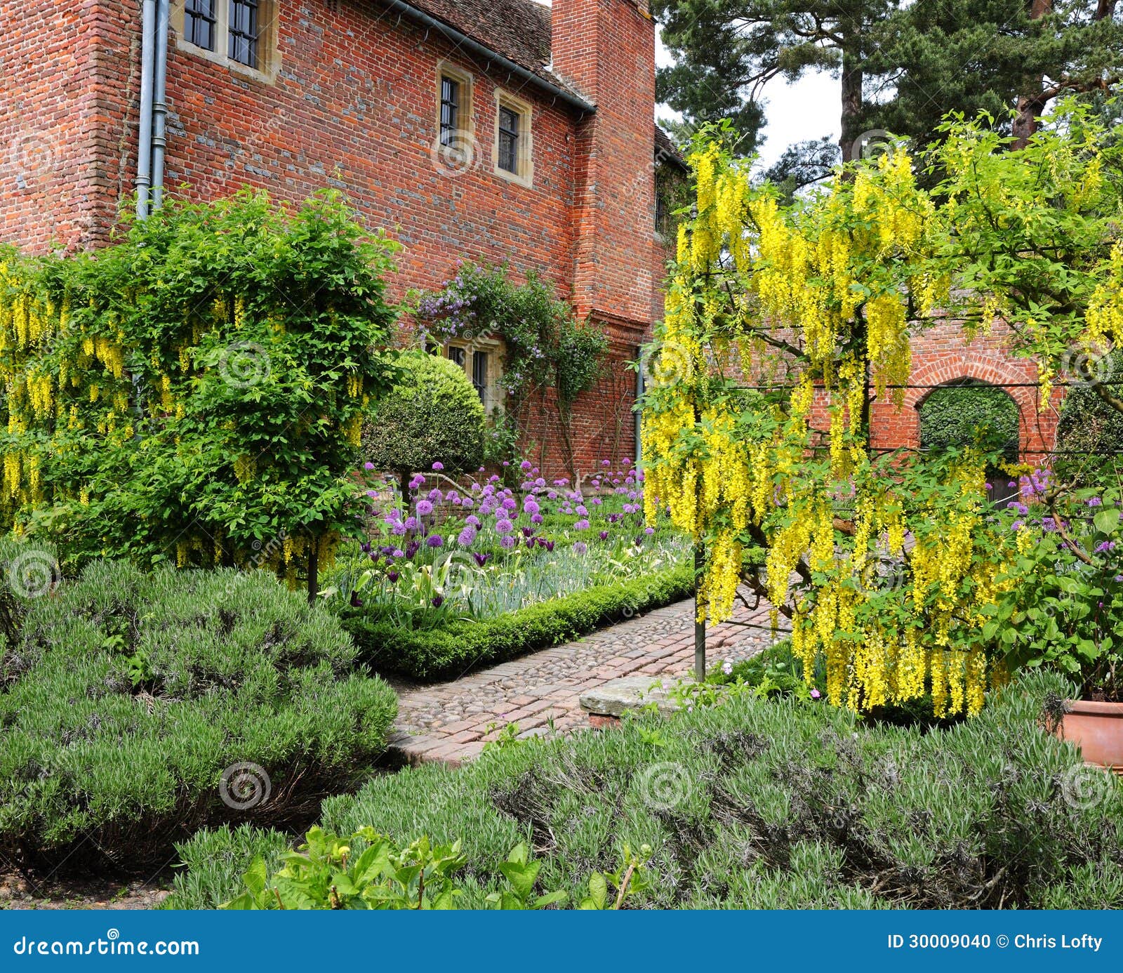 Englisch Ummauerte Garten Mit Weg Und Haus Stockfoto Bild von sommer