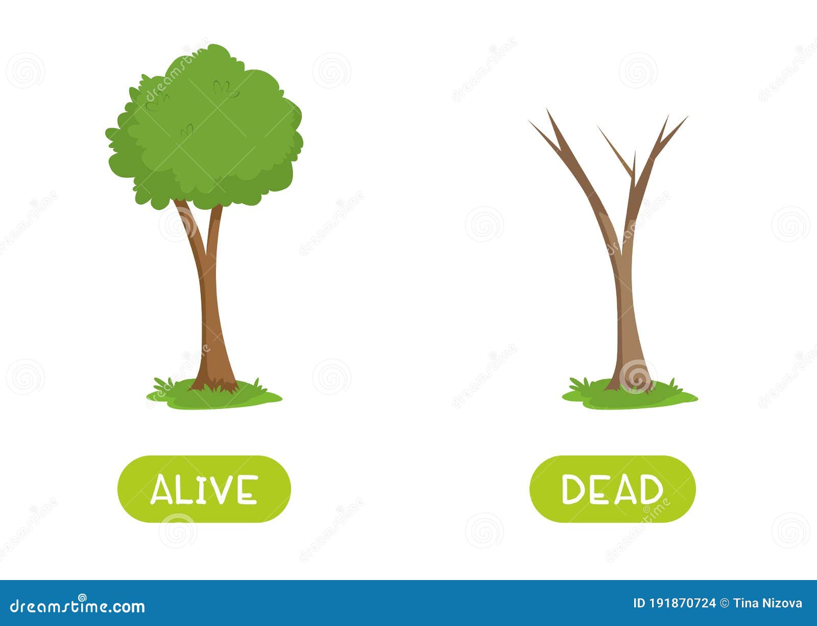 Opposite Word For Alive And Dead Illustration Royalty Free SVG, Cliparts,  Vectors, and Stock Illustration. Image 71260664.