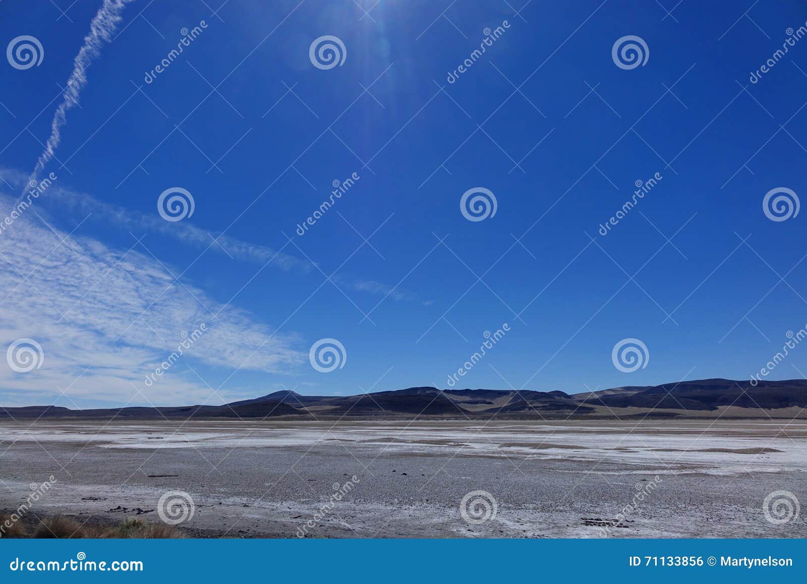 Alkali Desert Nevada Stock Photo Image 71133856