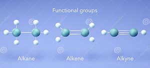 Alkene Alkane Alkyne Clearance Shop Brunofuga adv br
