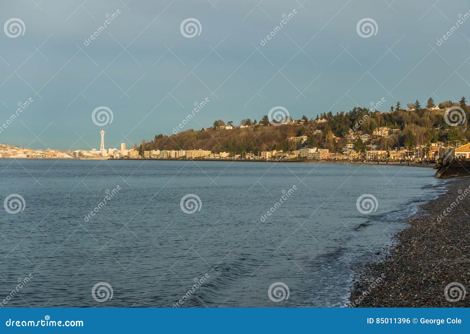Alki Beach Landscape stock photo. Image of seattle, condos 85011396