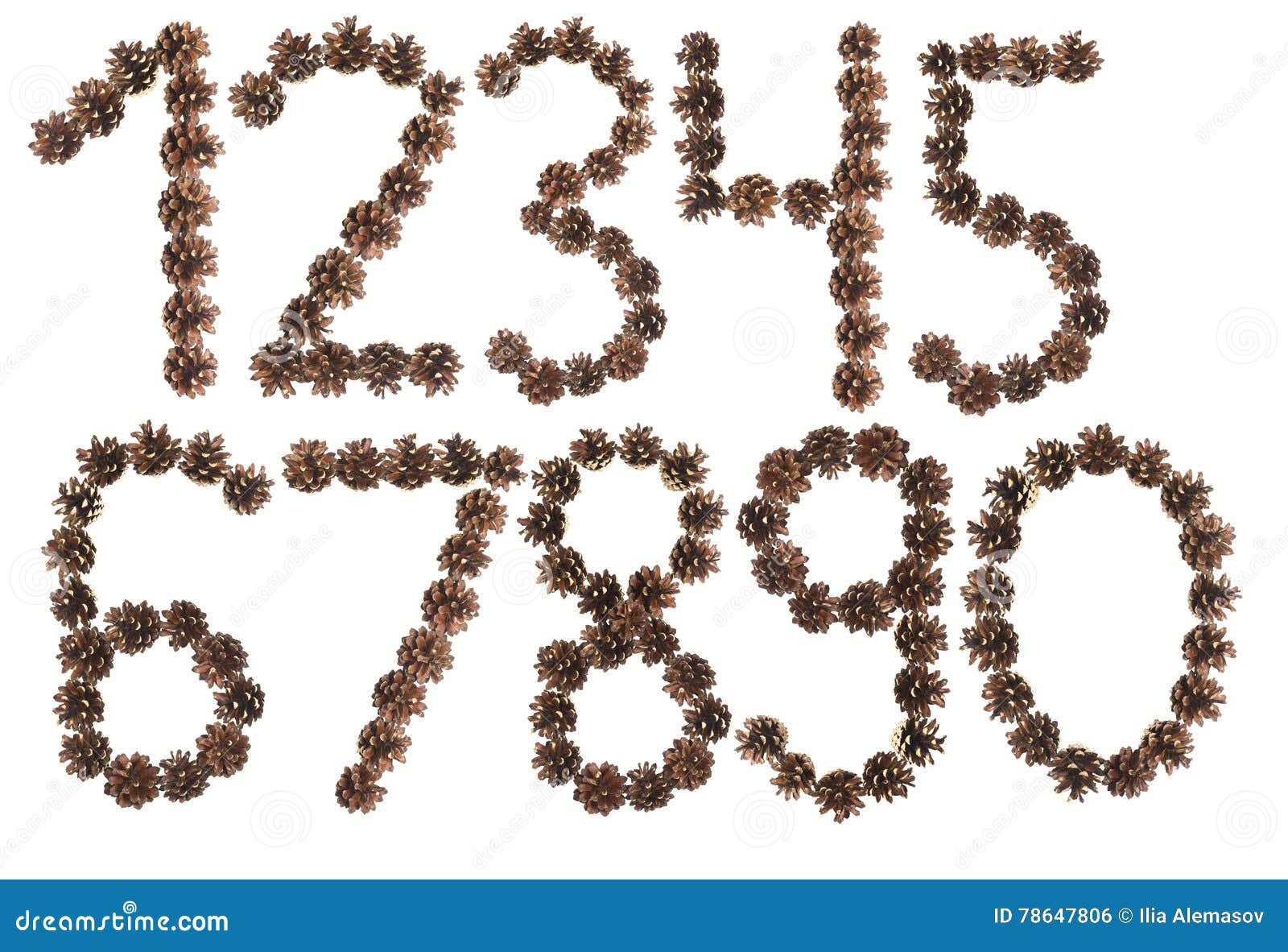 All Number Made of Pine Cone Stock Photo Image of symbol, element