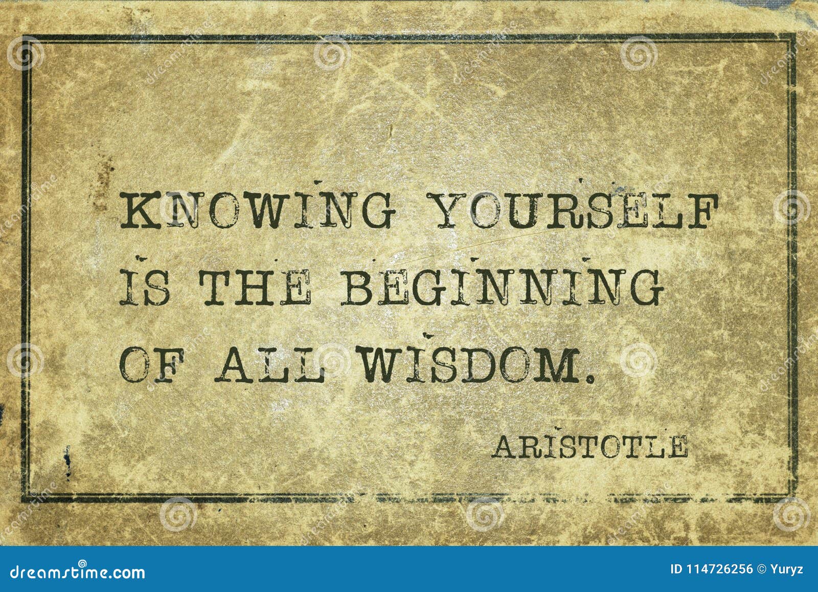 all wisdom aristotle