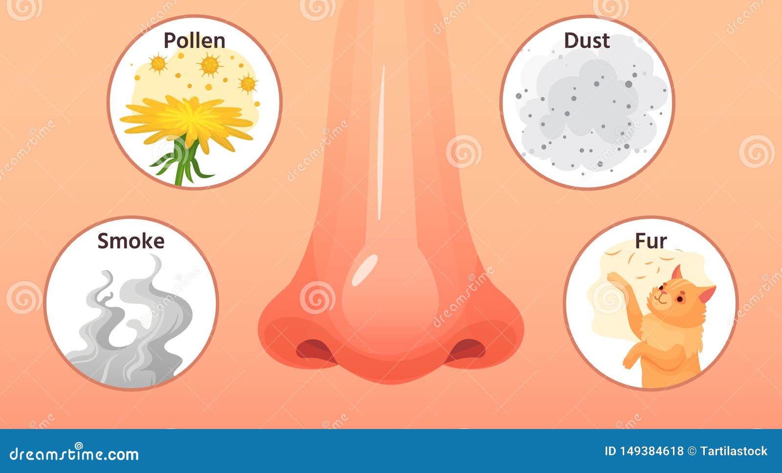 Allergische Ziekte Rode Neus, De Symptomen Van Allergieziekten En Allergenen Rook, Stuifmeel En Stof De Vector Van Het Allergie?n Vector Illustratie - Illustration of allergisch, 149384618