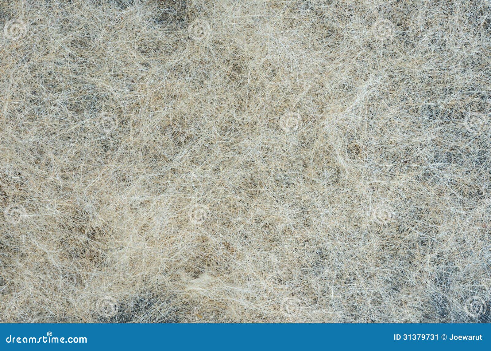 Allergy dirty fur stock image. Image of abstract, random 31379731