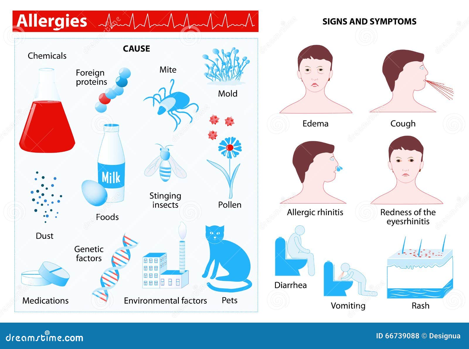 allergy. infographic