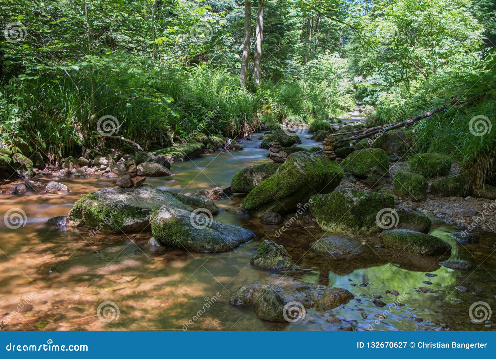 allerheiligen waterfalls in blackforest with stones and trees