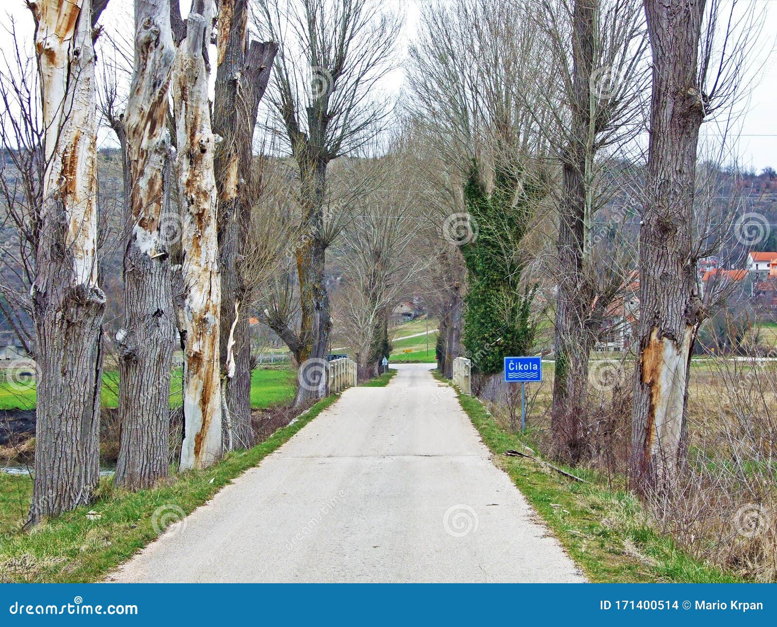 alley of poplar trees at the foot of the hill with the ivan mestrovic mausoleum, otavice - croatia