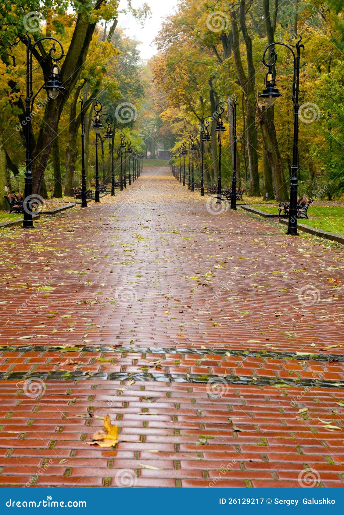 alleyway with paved road to autumn park
