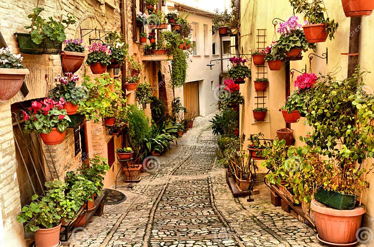 Alleyway. Spello. Umbria stock photo. Image of flora - 22882888