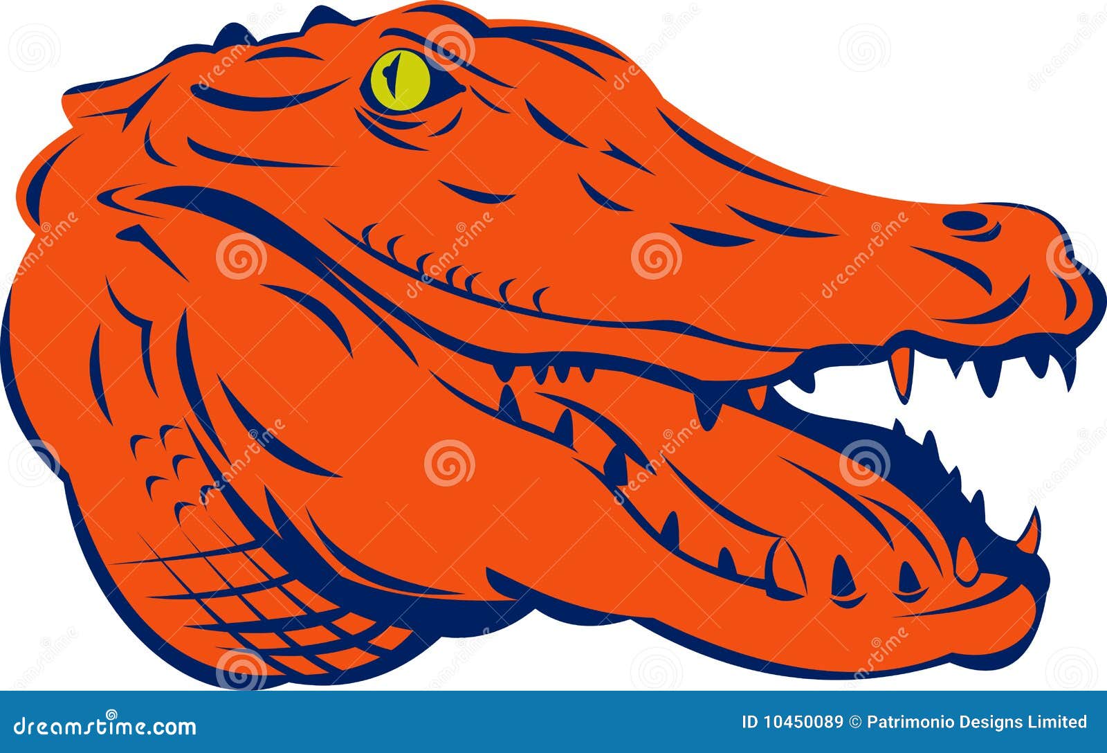 Alligator head mascot stock vector. Illustration of predator 10450089