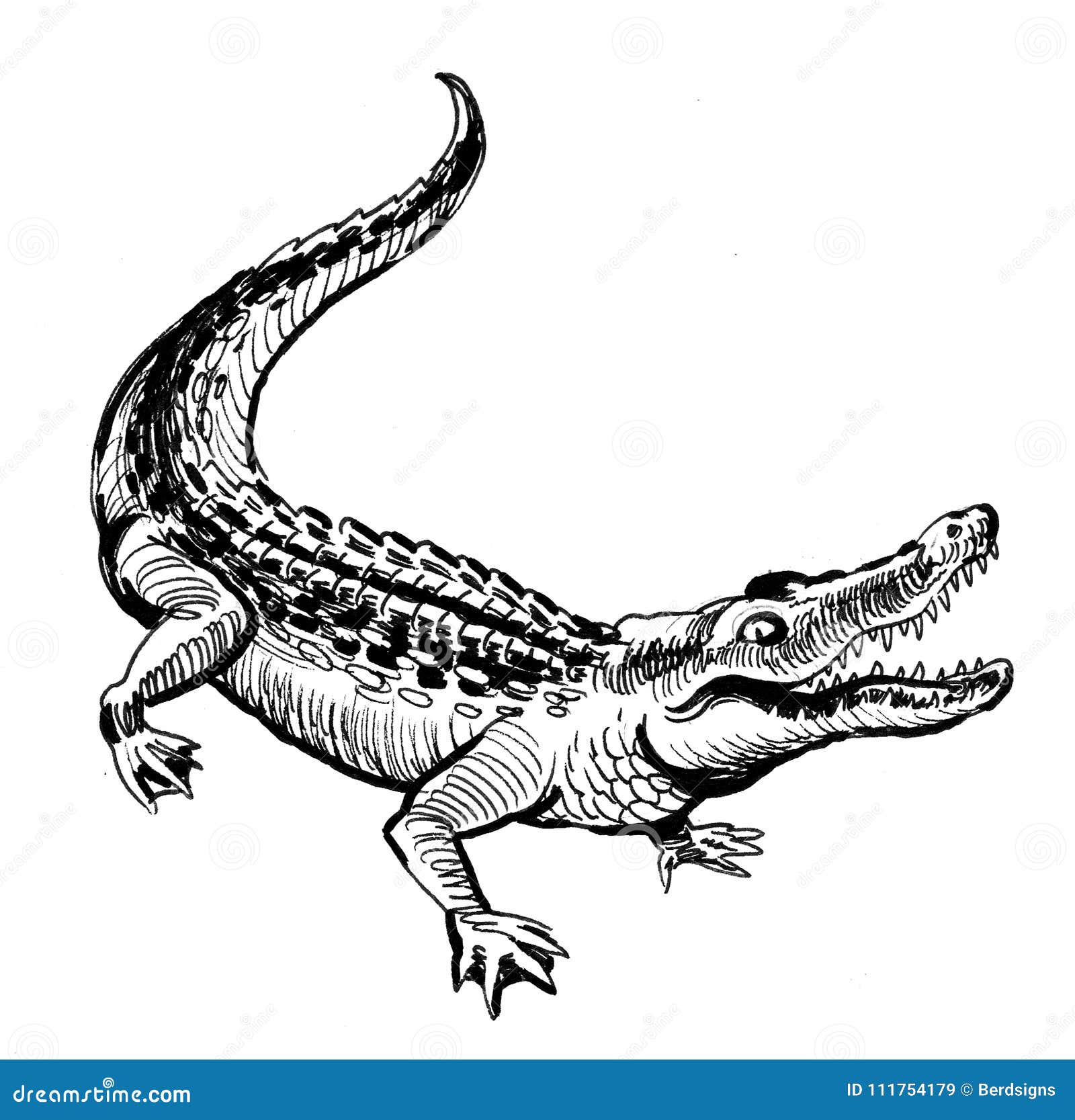 6,102 Alligator Sketch Images, Stock Photos & Vectors | Shutterstock