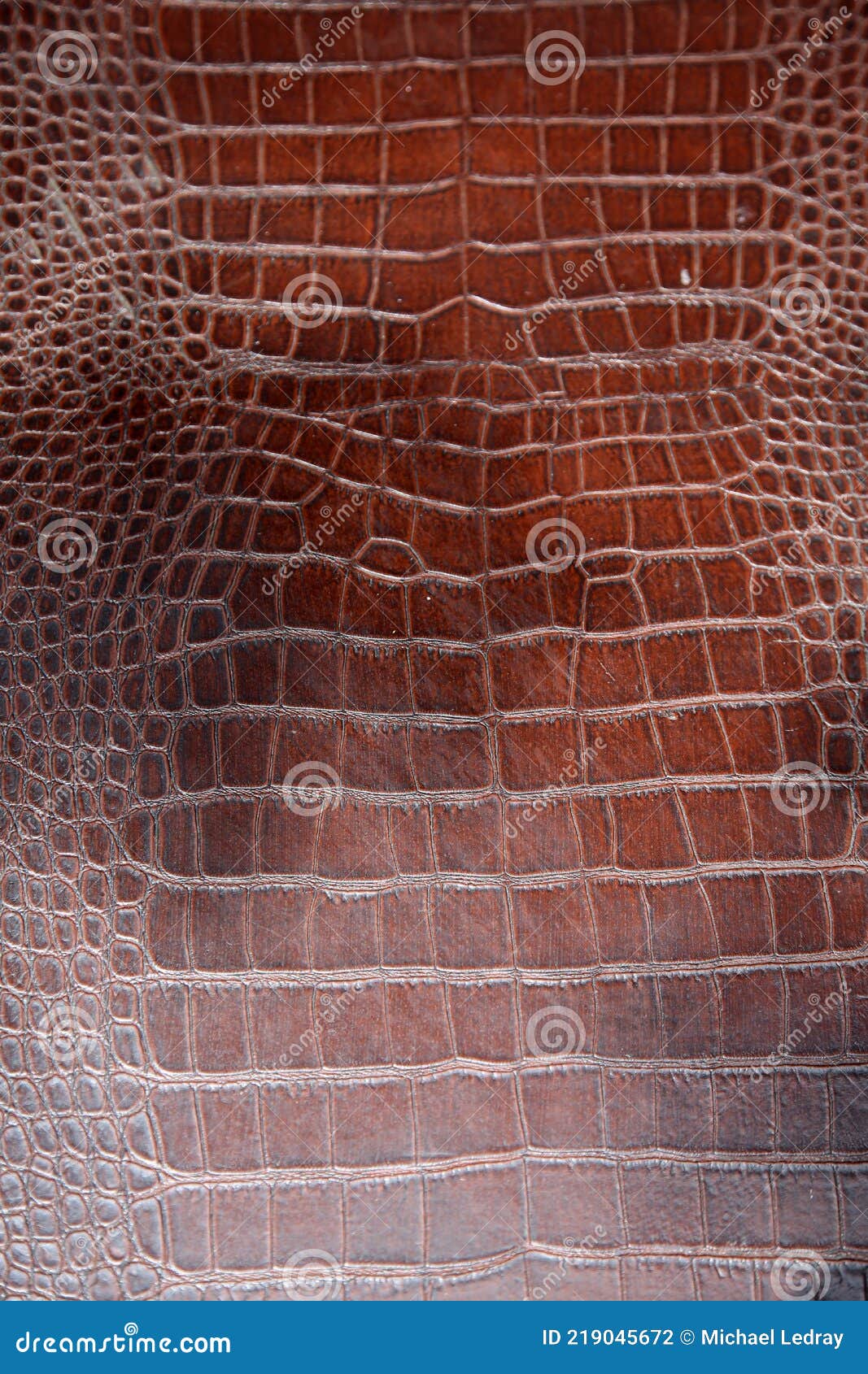 Alligator Skin. Crocodile Skin. Real Alligator Skin. Fake Alligator Skin.  Stock Photo - Image of black, aligator: 219045672