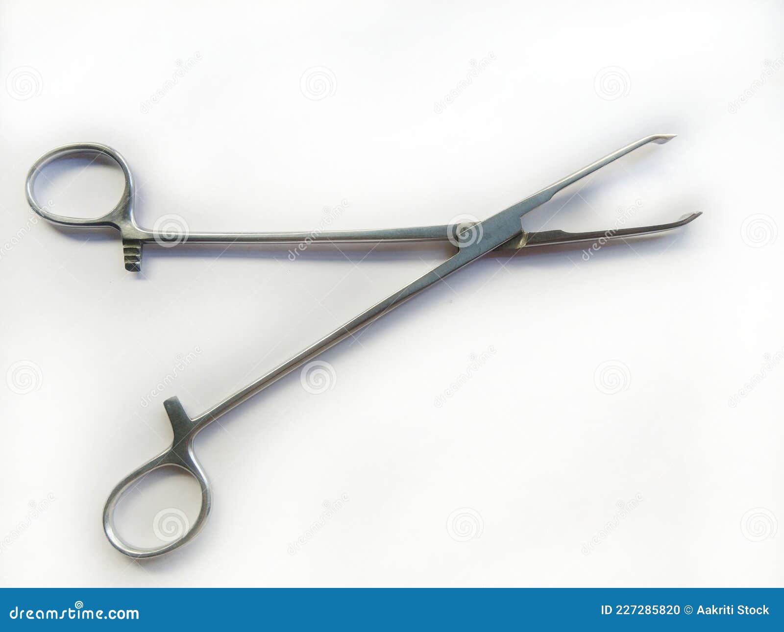 An Allis Clamp Also Called the Allis Forceps is a Commonly Used