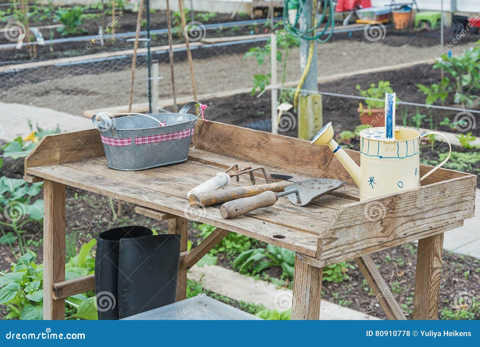 Allotments in a Greenhouse with Garden Tools Stock Photo Image of