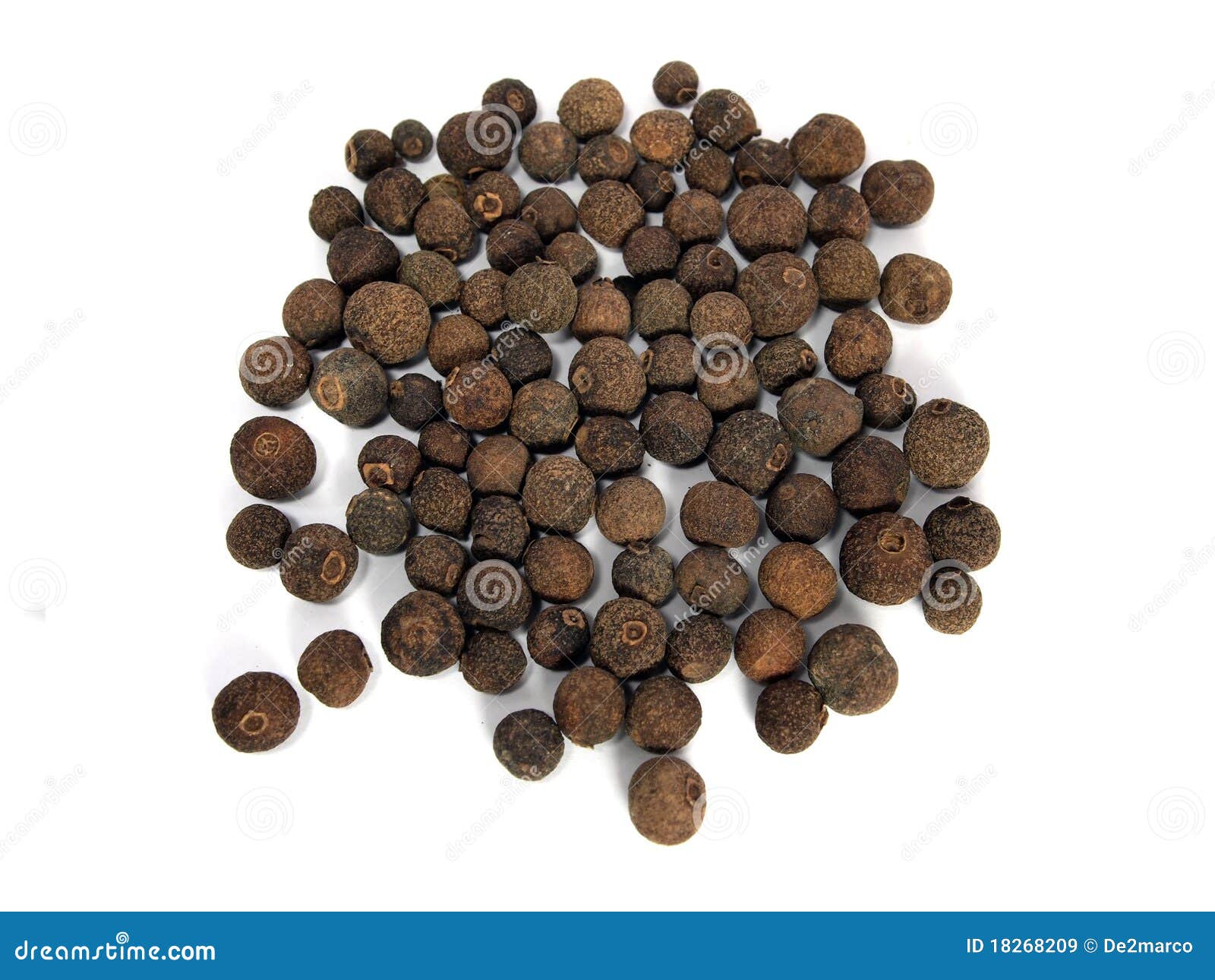 Allspice stock image. Image of seed, jamaica, ingredient 18268209