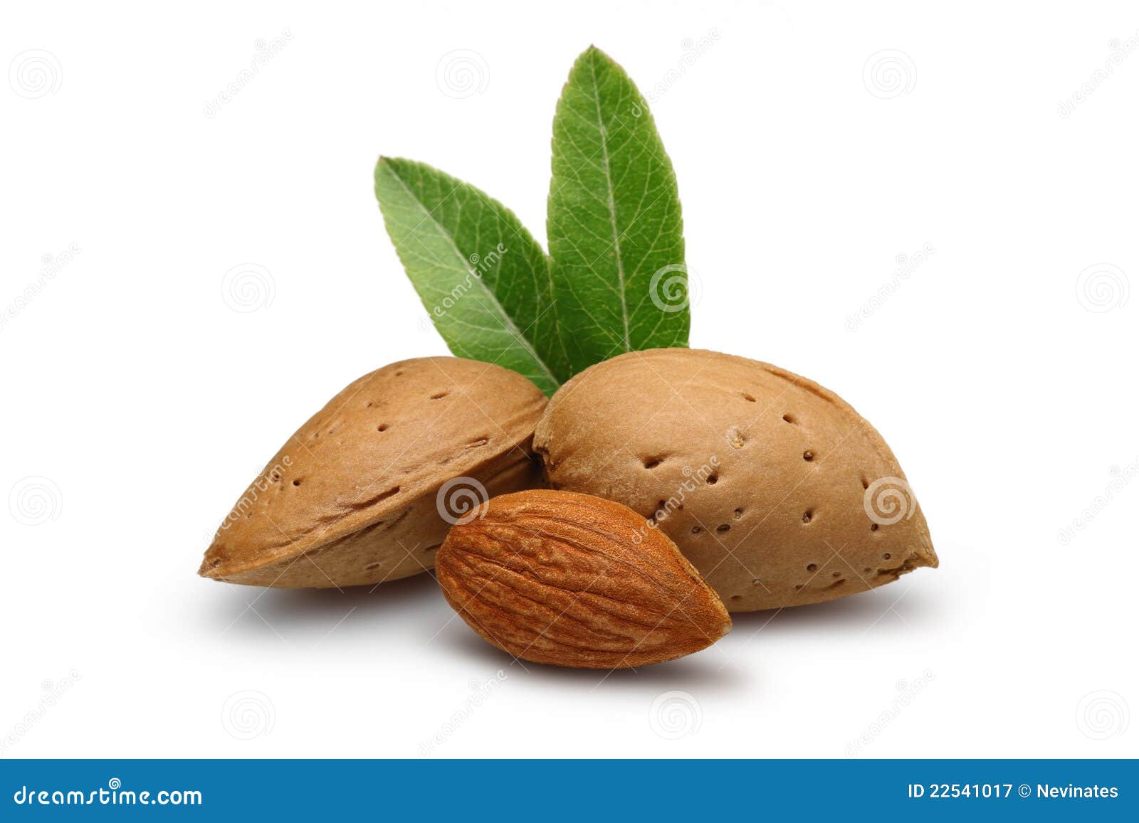 almond