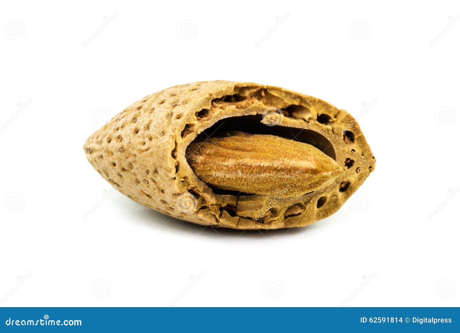 Almond with Cracked Nutshell Stock Photo Image of nature, fruit 62591814