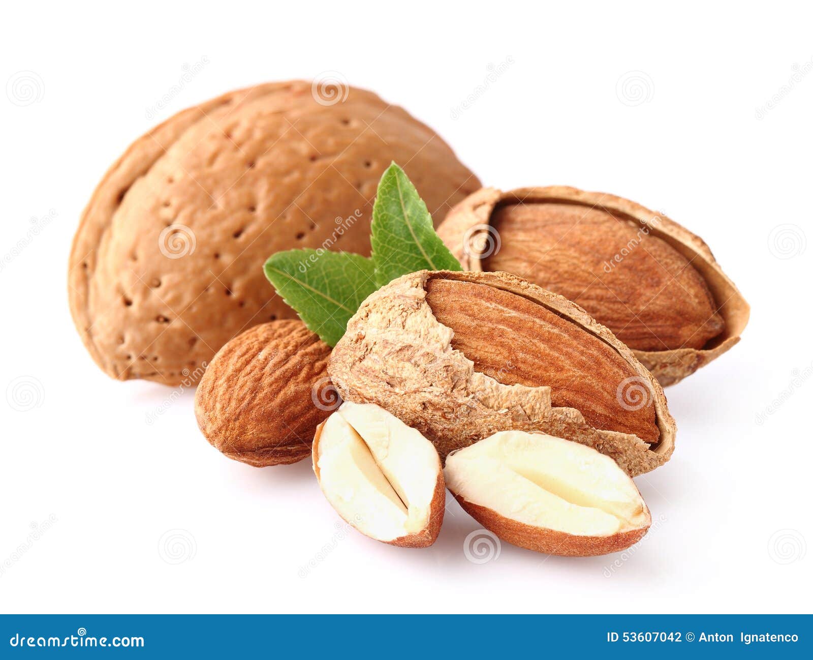 Almond kernel stock photo. Image of nature, closeup, food 53607042