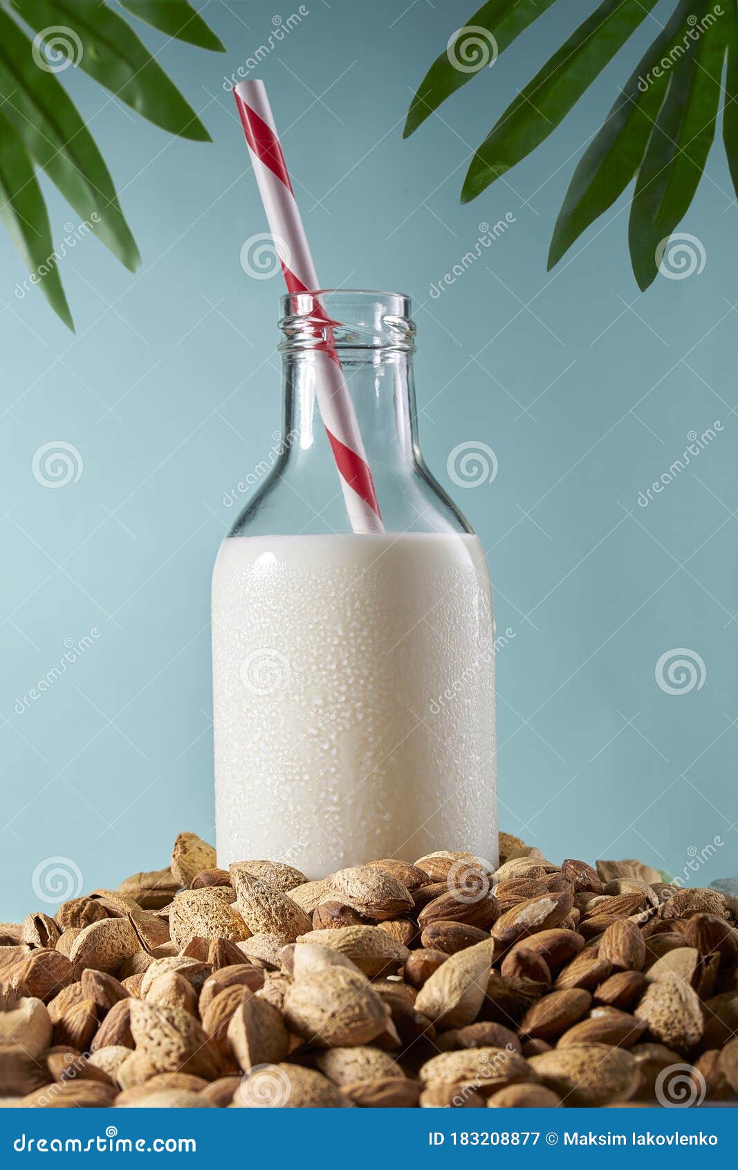 Almond Milk in Bottle with a Straw among Almonds Stock Image Image of bowl, health 183208877