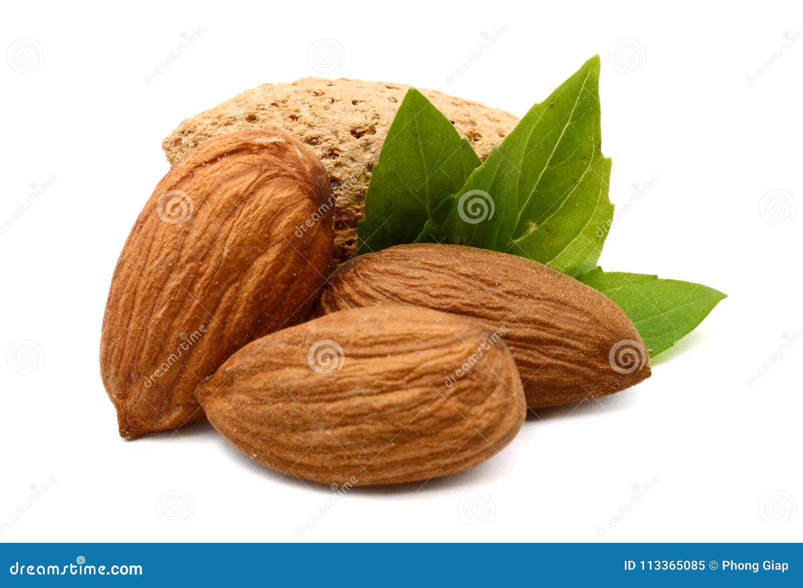 Almonds in Shell Isolated on White Stock Image Image of inside
