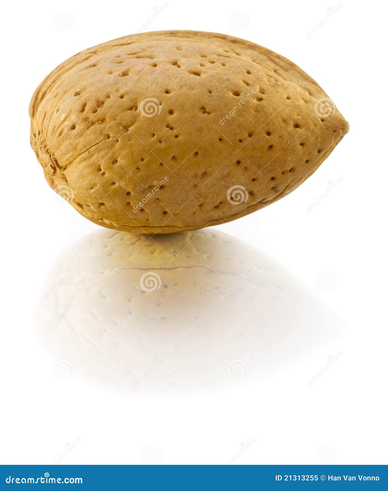 Almond in nutshell stock image. Image of nutshell, drink 21313255