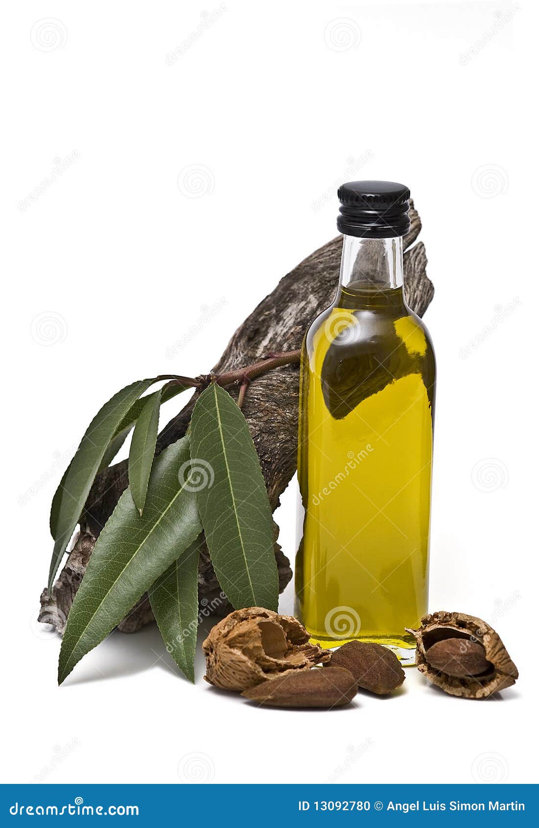 Almond Oil Bottle and a Branch. Stock Photo Image of fruit, almonds