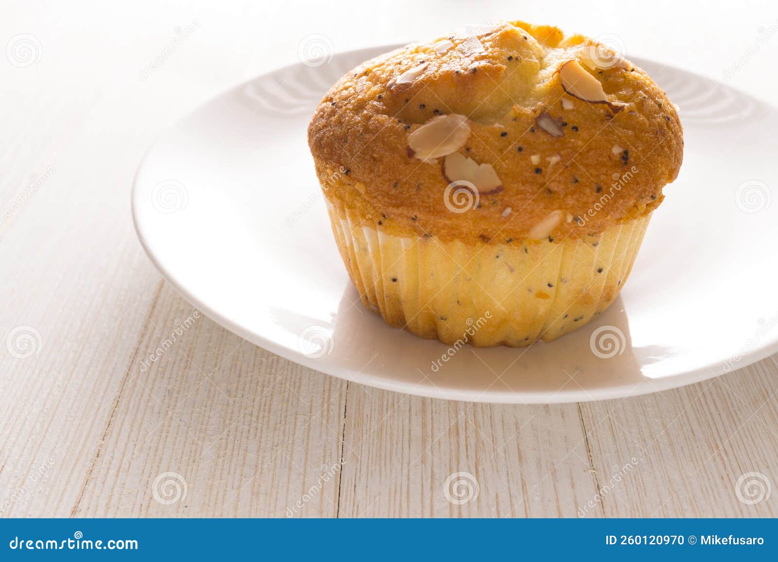 Almond poppy seed muffin stock photo. Image of whitewashed 260120970