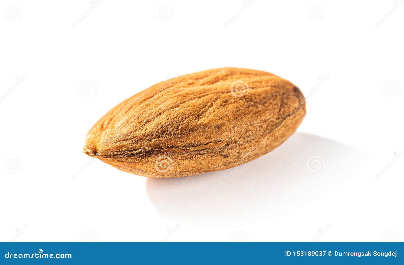 Almond Seed Isolated On White Background Stock Image Image Of Macro