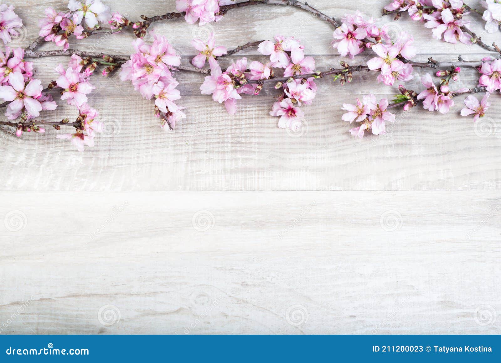 Almond Tree Branch with Flowers on a Wooden Background. Flower Frame ...