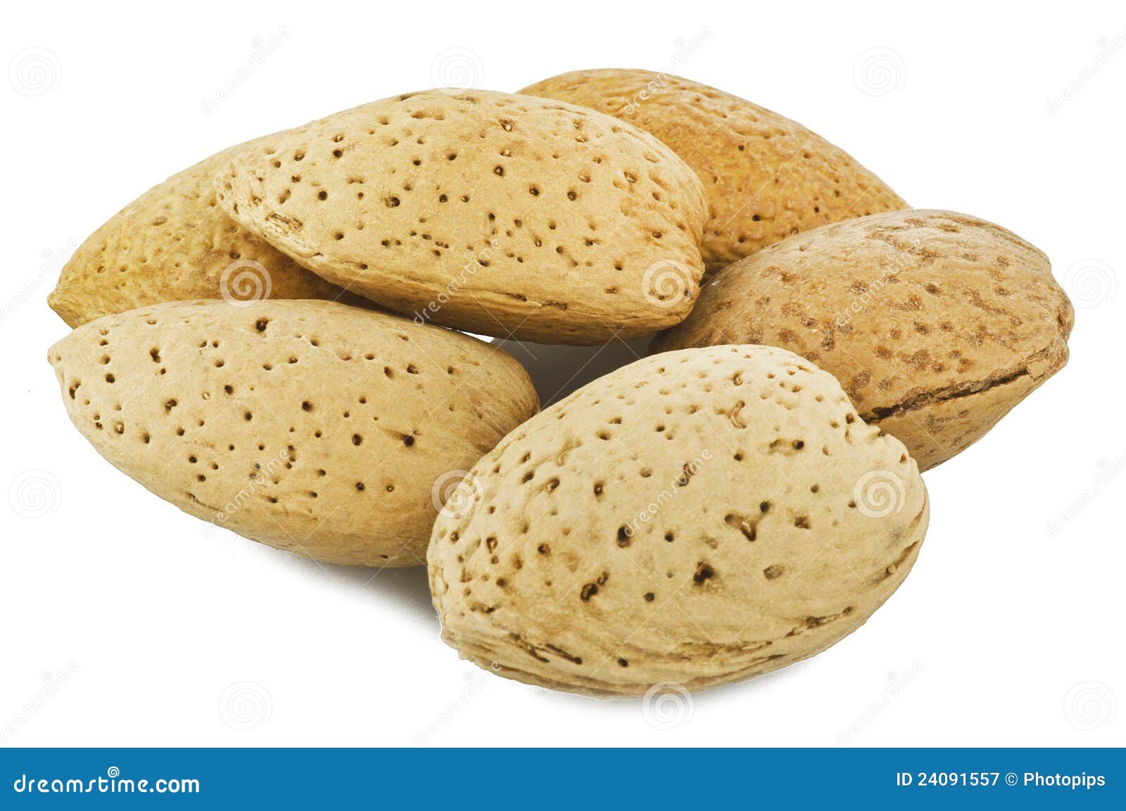 Almonds stock image. Image of snack, nutshell, closeup 24091557