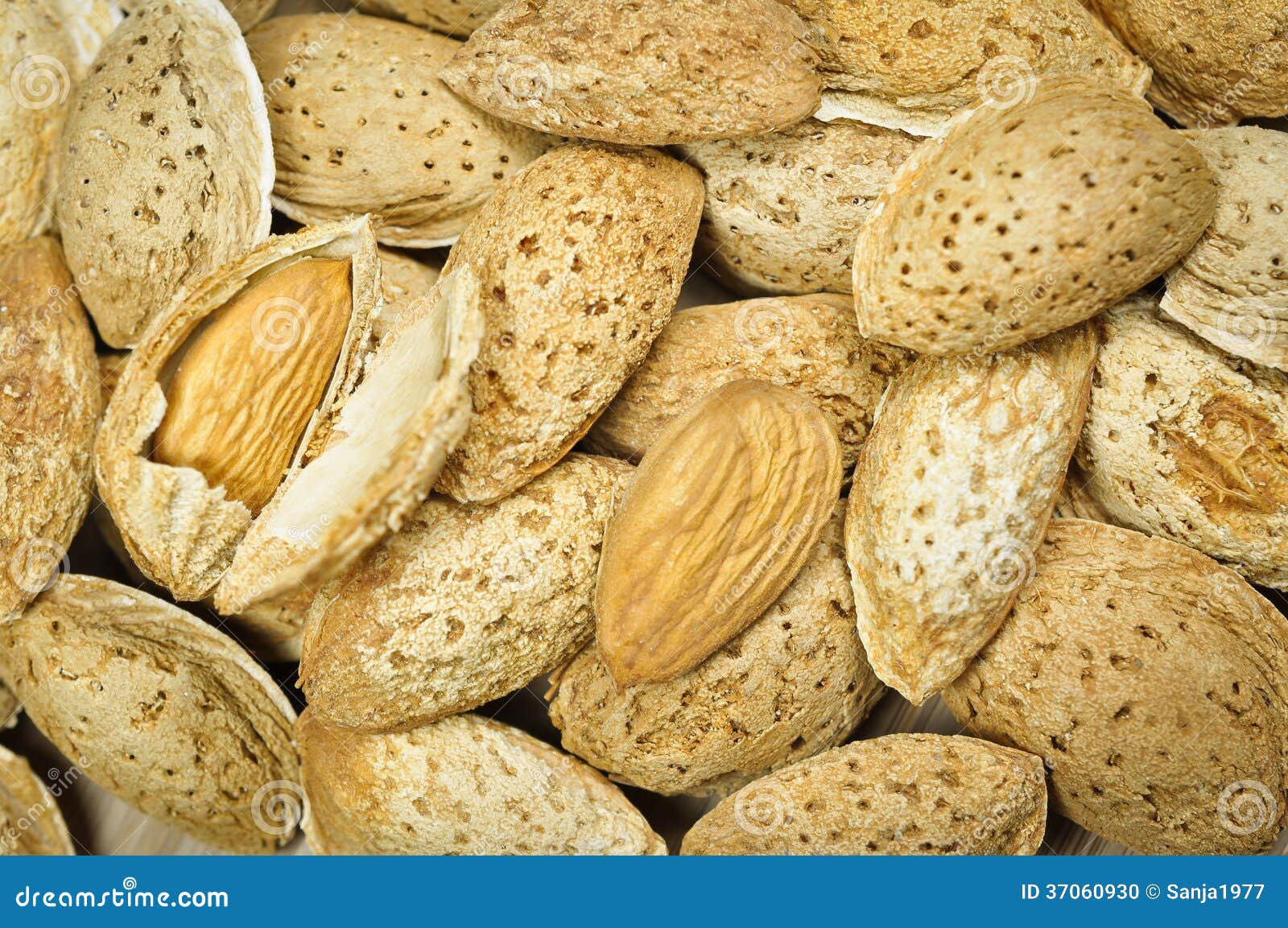 Almonds stock photo. Image of agricultural, crunchy, brown 37060930