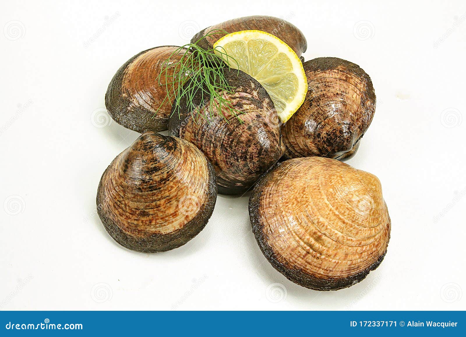 Almonds Cooked on a White Background Stock Image Image of fish