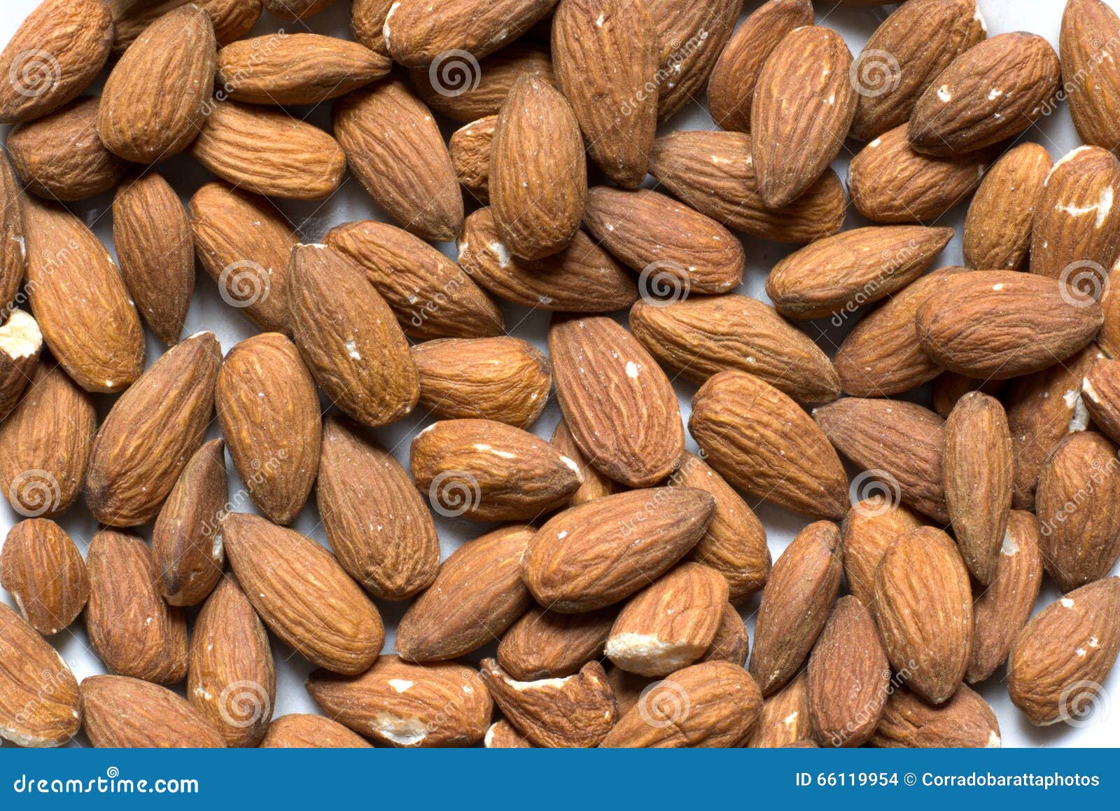 Almonds stock photo. Image of china, agriculture, ecological 66119954