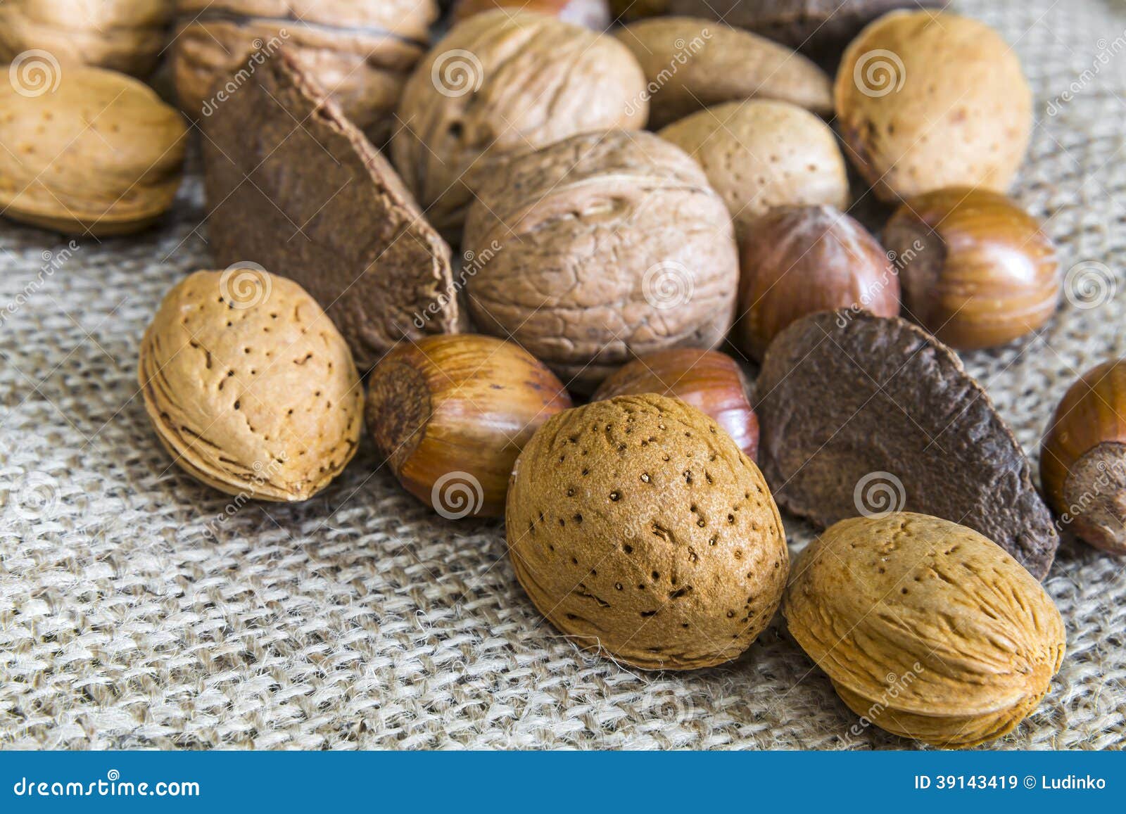 Almonds, Hazelnuts, Walnuts, Brazil Nuts on Burlap Stock Image Image