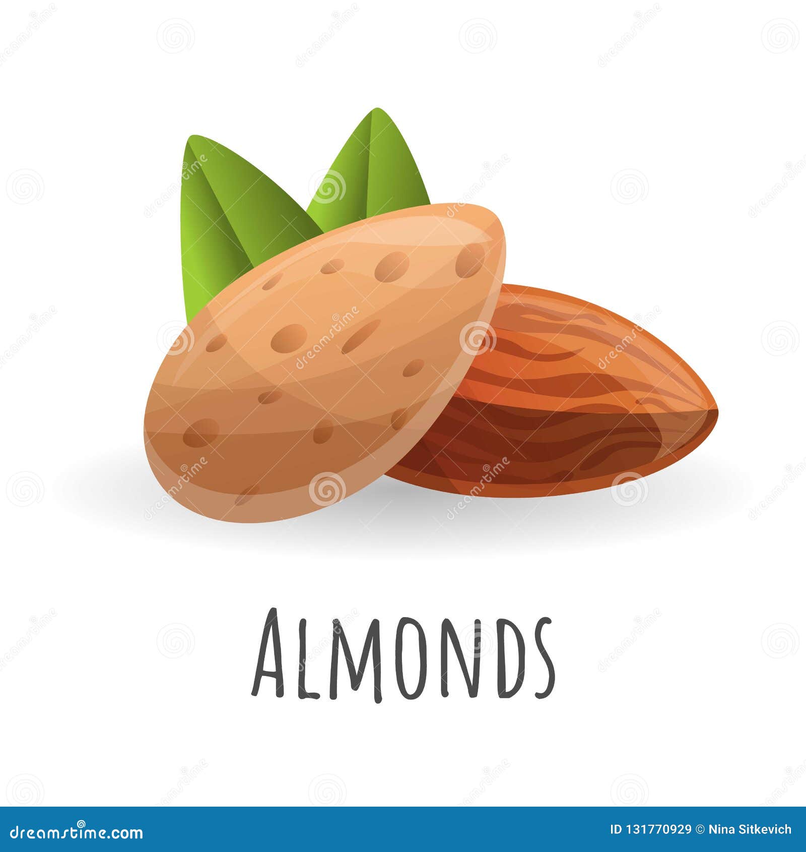 Almonds Cartoons, Illustrations & Vector Stock Images - 4381 Pictures