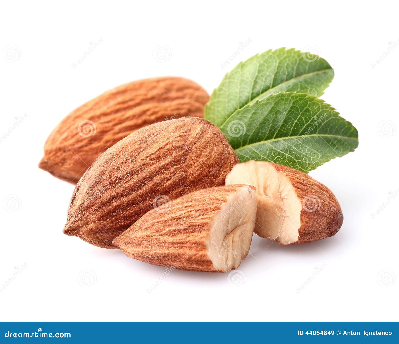 almonds kernel with leaves