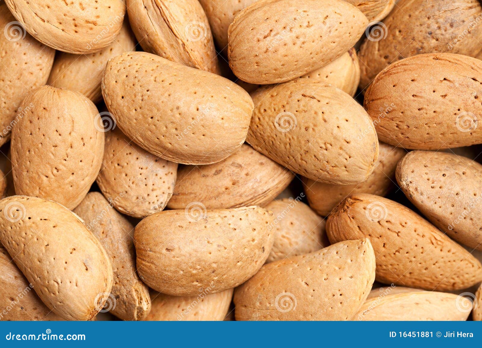 Almonds in nutshell stock image. Image of brown, nuts 16451881