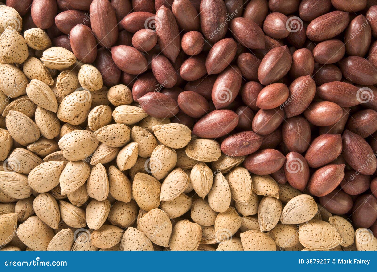 Almonds and Pecans stock image. Image of hickory, almonds 3879257