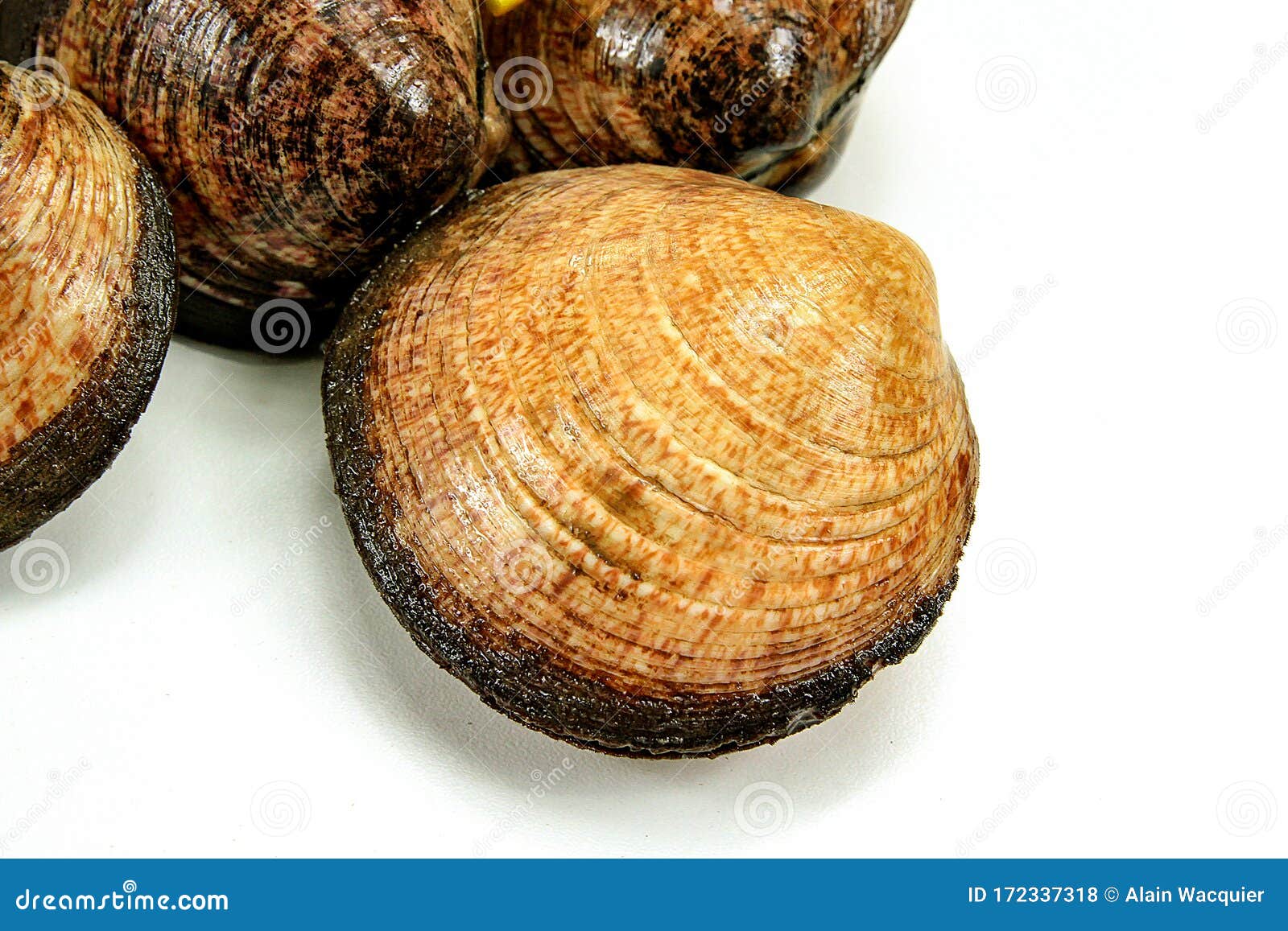Almonds Cooked on a White Background Stock Photo Image of delicacy