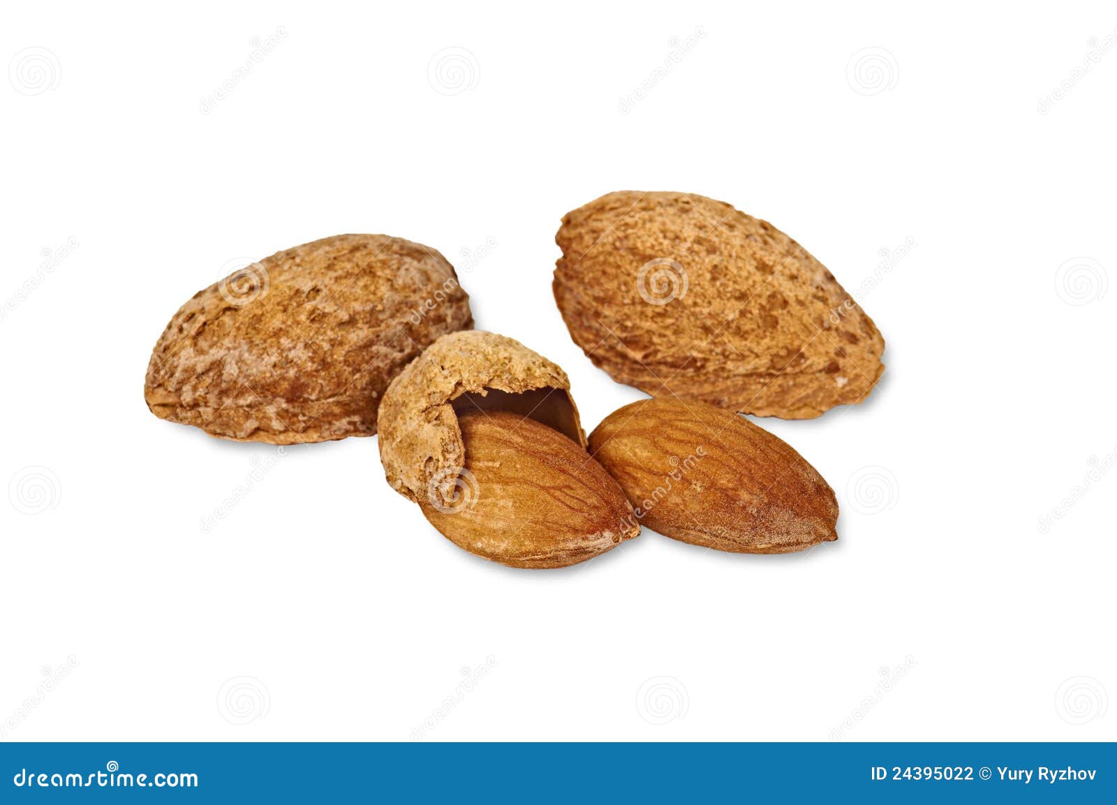 Almonds in Shells stock photo. Image of dried, agriculture 24395022